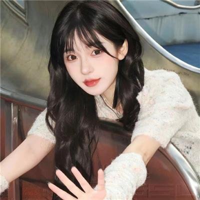 降龙神掌苏乞儿